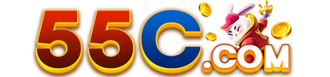 55C.COM